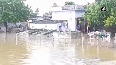 Heavy rainfall wreaks havoc in AP's Krishna district