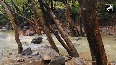 Nature's fury unleashed: Land caves in after rains in Rajasthan!