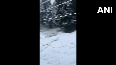 J-K: Gulmarg receives season's first snowfall
