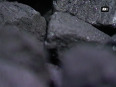coal india video
