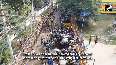 Jallikattu, bull taming sport, begins in Madurai 