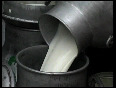 Cooperative Milk Society Empowering Women