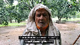 Mango farmers bear losses due to rain, thunderstorm in Meerut