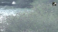 Perungulam pond in Thoothukudi, Tamil Nadu has become an important habitat for aquatic birds