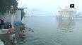 Devotees take holy dip in sarovar at Golden Temple in Amritsar