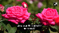 Mega Flower Show organized in Udhampur