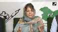 Theyre not worthy of trust Mehbooba Mufti backs NC for Rajya Sabha elections, despite distrust
