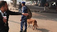 Security forces conduct thorough check with K-9 squad at Delhi Red Fort blast site