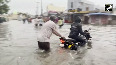 Gujarat: Torrential rain maroons Dwarka
