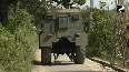 J&K Search operation underway in Kathua s Hiranagar after firing incident