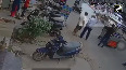 Video:  Bull goes on rampage in Delhi, attacks biker