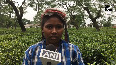Karate gold medallist from Assam works in tea plantation