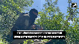 Pahalgam Terror Attack Pakistan again opened fire without provocation, India gave a befitting reply