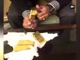 Watch 16 kg gold biscuits recovered from IGI airport