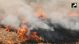 Punjab: Stubble Burning continues in Tarn Taran