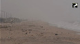 Watch:Heavy rains with strong winds in Pattinapakkam area of Chennai