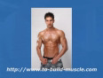 Www.to-build-muscle.com-You-Can-Lear-How-To-Build-Muscle-Without-Paying-Thousand-Of-Dollars-And-In-Your-Convenient-Time