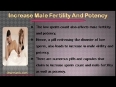 Do Herbal Sperm Enhancer Pills Increase Male Fertility And Potency 