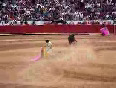 Bullfighting mexico city great skills