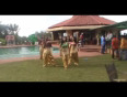 Farah's girls dance to Sheila ki jawani