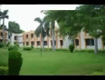  aligarh muslim university video
