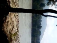 Sharda river in purnagiri mata