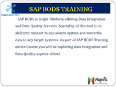 Sap Bods online training usa,uk,canada,pune