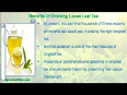 What Are The Benefits Of Drinking Loose Leaf Tea  