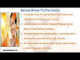 What Is The Importance Of Natural Blood Purifier Herbs 