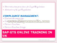 Sap gts online training and placement
