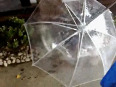 Pet umbrella
