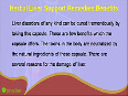 Herbal Liver Support Remedies Benefits