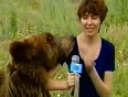Bear Attack (Russia)