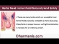 Herbs Treat Hemorrhoid Naturally And Safely At Home