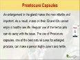 Natural Cures For Enlarged Prostate, Herbal BPH Remedies