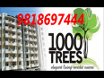 9818697444 Great Value 1000 Trees Sector 6 Sohna Gurgaon