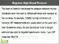 8-How To Regulate High Blood Pressure And Hypertension Levels Naturally