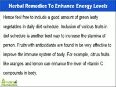 Herbal Remedies To Enhance Energy Levels And Body Stamina In Men And Women