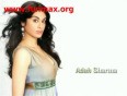 Adah Sharma Hot Sexy Celebrities Indian Bollywood Actress 