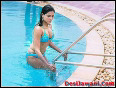 Bollywood Bikini actress