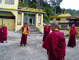 Game played by Monks outside Karma Shri Nalanda Institute in Sikkim