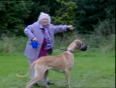Comedy___granny_walks_dog__