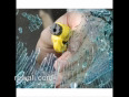 How_to_break_the _glass_of_the_car-rewali.com