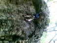 Rock-Climbing-ractice-vivek-mahdik