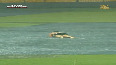 Tim David turns Chinnaswamy into a swimming pool