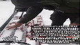 fitch video