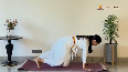 Variations of Phalakasana - SRMD Yoga