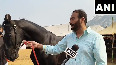 Rs 15 Crore Horse from Chandigarh Stuns Everyone at Pushkar Fair!