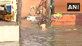 WATCH: Brave dog swims through floodwater in Chennai
