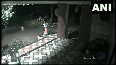 Dog scares away leopard, moment caught on CCTV